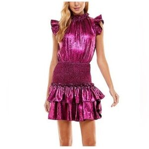 TCEC Metallic Pink Fuchsia Ruffle Drop Waist Smocked Mini Dress Size Small